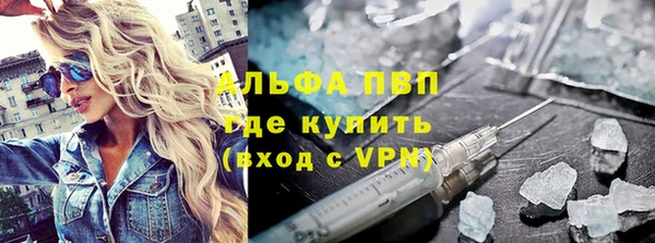 PSILOCYBIN Балахна