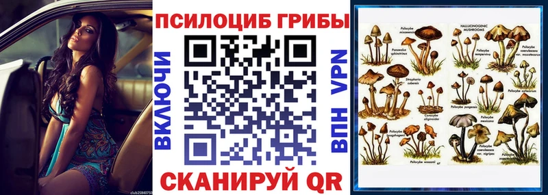 магазин  наркотиков  Кунгур  Псилоцибиновые грибы Cubensis 